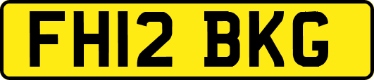 FH12BKG