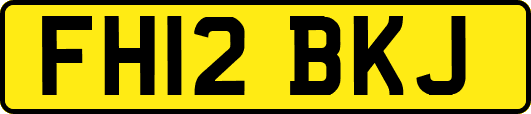 FH12BKJ