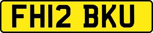 FH12BKU