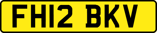 FH12BKV