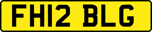 FH12BLG