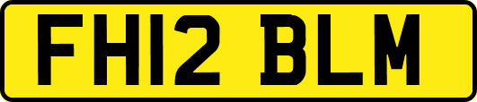FH12BLM