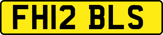 FH12BLS