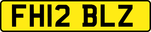 FH12BLZ