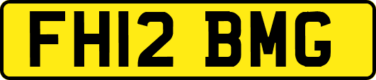 FH12BMG