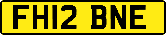 FH12BNE