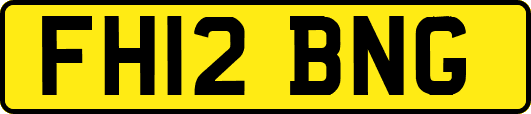 FH12BNG