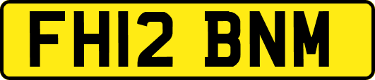 FH12BNM