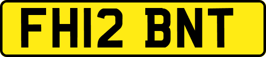 FH12BNT