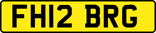 FH12BRG