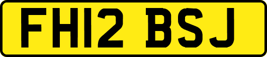 FH12BSJ