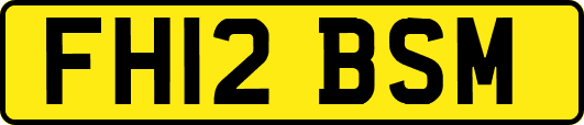 FH12BSM