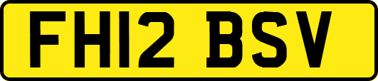 FH12BSV