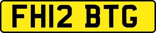FH12BTG