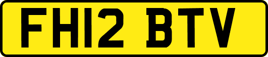 FH12BTV