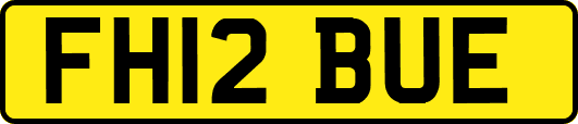 FH12BUE
