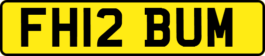 FH12BUM