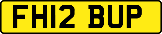 FH12BUP