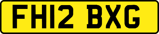 FH12BXG
