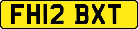 FH12BXT