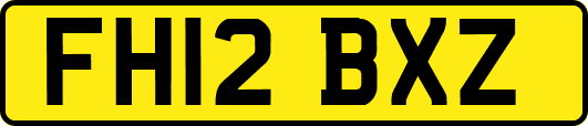 FH12BXZ