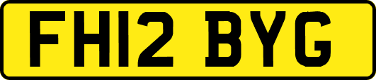 FH12BYG