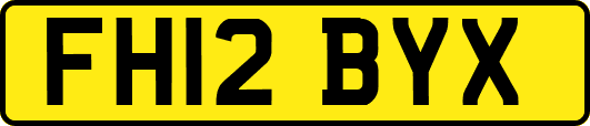 FH12BYX