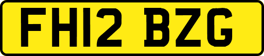 FH12BZG