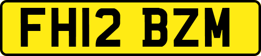 FH12BZM