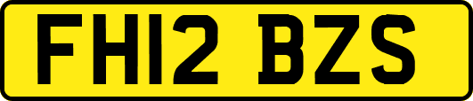 FH12BZS