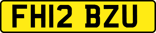 FH12BZU