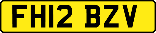 FH12BZV