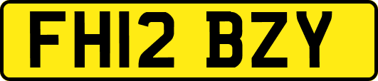 FH12BZY