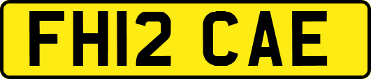 FH12CAE