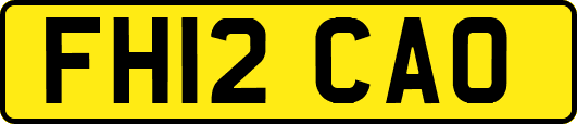FH12CAO