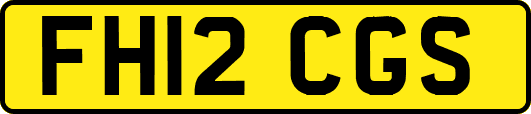 FH12CGS