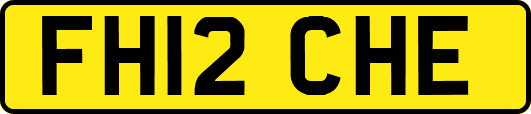 FH12CHE