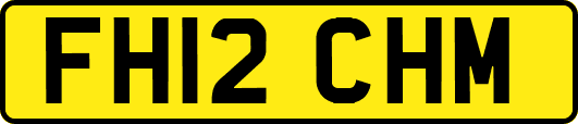 FH12CHM