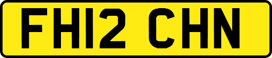FH12CHN