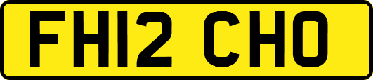 FH12CHO