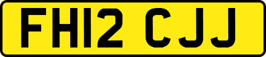 FH12CJJ