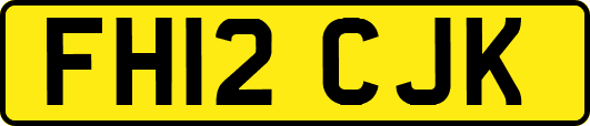 FH12CJK