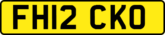 FH12CKO