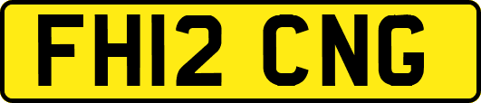 FH12CNG