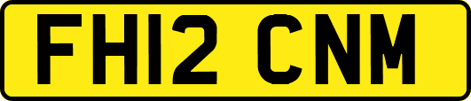 FH12CNM