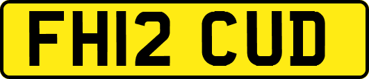 FH12CUD