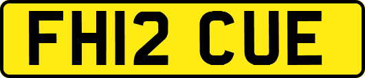 FH12CUE