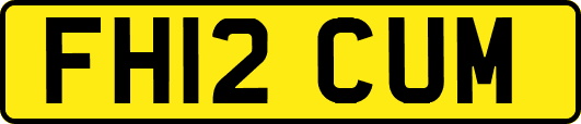 FH12CUM