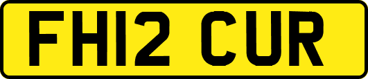 FH12CUR