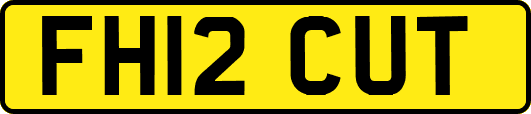 FH12CUT